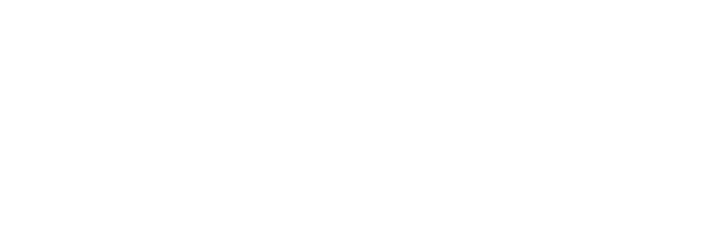                                     “Chino” DOB : 2/26/18

 OFA Hips: Good/Elbows: Normal, Heart Echo Normal,  HNPK, DM,PRA, CNM,  EIC,    Clear by testing,  one gene for CT. Eyes certified,  Non Dilute. Eyes cleared annually, does not carry chocolate. Chino has a delightful temperament, life is a party to him. He has achieved the honor of becoming a Bronze title winner. He loves the ring and is a joy to show.
